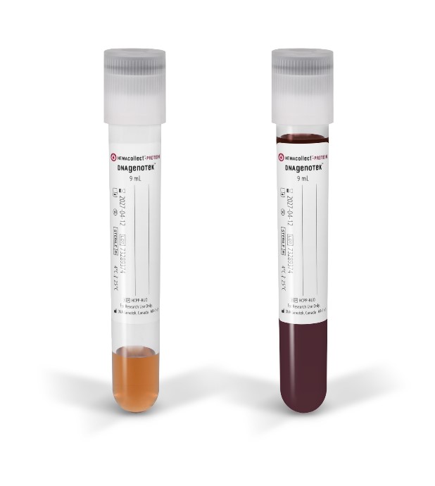 HEMAcollect™●PROTEIN | BCT 