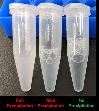 precipitate formation comparison