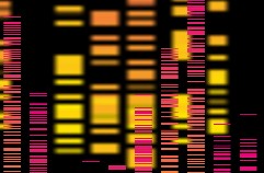 Spotlighting our presentations at the Precision Medicine World Conference 2023
