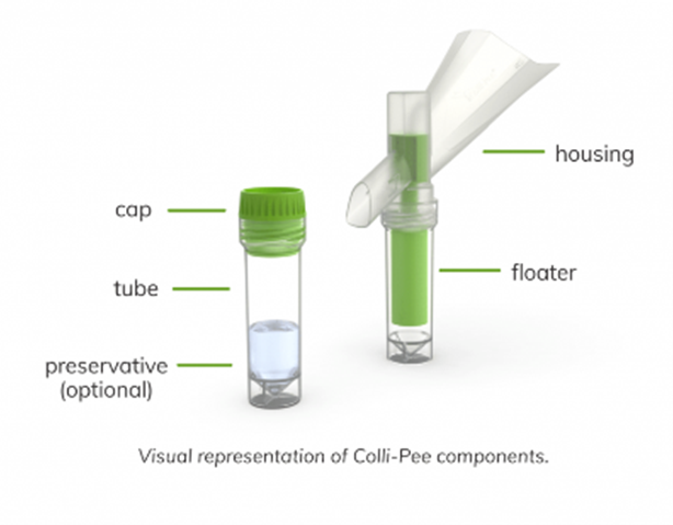 visual representation of Colli-Pee components